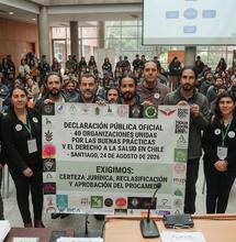 PROCAMED en Chile: la demanda por el derecho al cannabis medicinal 