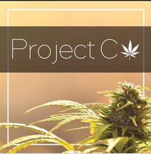 Afgewezen wietproef-teler Project C krijgt gelijk van rechter 