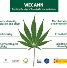 WeCann: Taxonomía, etnobotánica y genética del cannabis