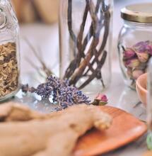 Užívání terpenů