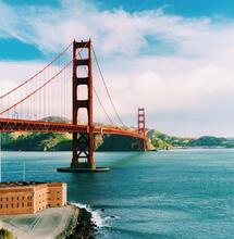 San Francisco golden bridge, the city's board of supervisors decriminalizes psychedelics such as "magic mushrooms"