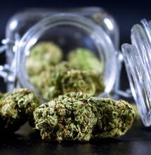 ¿Qué es el THCA? Beneficios y propiedades en la marihuana