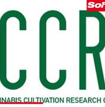Questionario Internazionale sulla Coltivazione Domestica di Cannabis