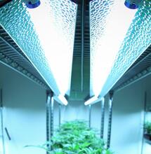 lighting set up in a grow room. 