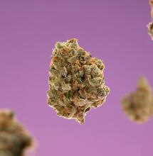 Essential Guide to Recreational Cannabis: First-Timer FAQ