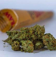 recreational marijuana couriers. 