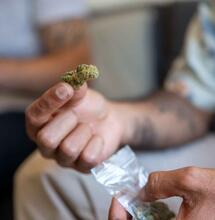 recreational use of cannabis.