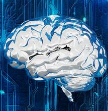 ¿Qué le pasa a tu cerebro tras solo 2 días sin cannabis?