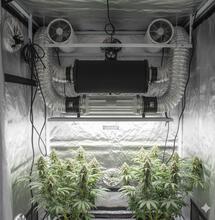 Sistema doble extracción con reflector air cooled en armario de cultivo indoor, plantas de cannabis y filtros para máxima eficiencia y ventilación segura