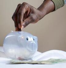 profitability of cannabis businesses, survey report