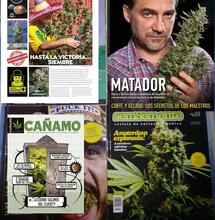Revistas cannábicas latinas: Haze, THC, Cáñamo, Sem Semente y Soft Secrets