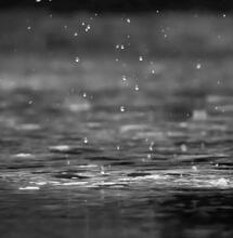Expogrow pone freno a la lluvia en su día de mayor asistencia