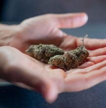 Rhode Island Adult-Use Legislation