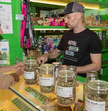 Royal Queen Seeds opent cannabiszadenwinkel en lounge in Thailand