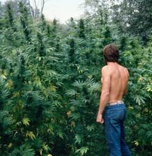 Sam the Skunkman: A Cannabis Legend Has Died