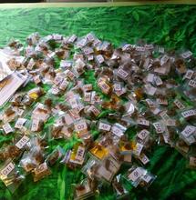 Wie wint de HighLife Cup: Kush, Haze of USA genetica?