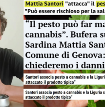 Il pesto fa più male del Cbd, la verità scomoda di Santori