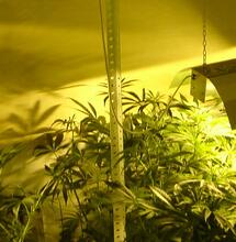 Protocolos de seguridad: controla el riesgo