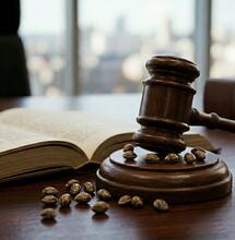 TSJ de Andalucía: las semillas de cannabis no son delito