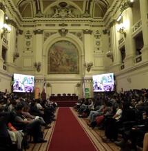 Crean federación latina de cannabis