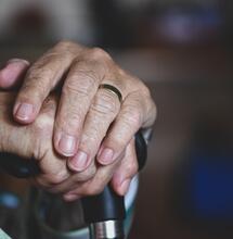 cbd a parkinsonova nemoc