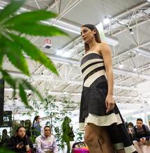 Abbigliamento in canapa: marchi ecosostenibili