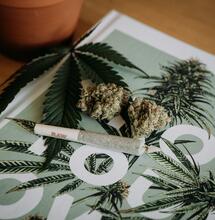Lussemburgo: primo paese in Europa a legalizzare la cannabis