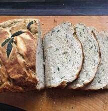 Foto Shoiel Barath Unsplash