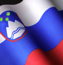 Referendum Cannabis: Slovenia al voto tra le polemiche