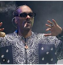 Snoop at the Super Bowl