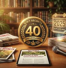 Lo mejor de Soft Secrets 2025: resiliencia, ciencia y vanguardia