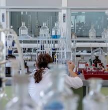South Korean Researchers Discover New Cannabinoid