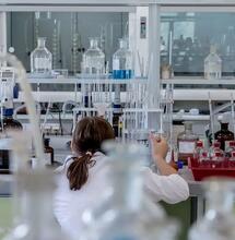 Südkoreanische Forscher entdecken neues Cannabinoid