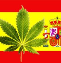 Spagna e Cannabis