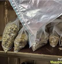 Politie steelt voorraad coffeeshop in Maastricht