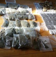 Coffeeshop Indian Dylan 1 jaar dicht na stash vangst