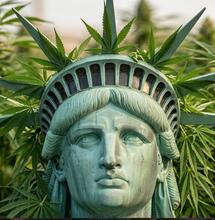 Legalizzazione e giustizia sociale: il caso dello Stato di New York