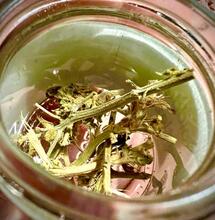 What'cha gonna do with all them stems?