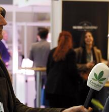 Steven Kompier stopt met Cannabis News Network