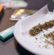 study associates cannabis with increased risk of head and neck cancers