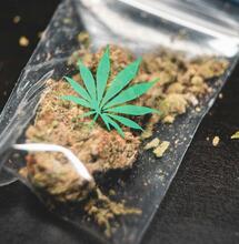 Opositores quieren un referéndum contra la legalización de la marihuana de uso adulto en Suiza.