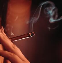 trending cannabis strains summer of 2022.