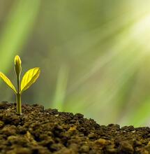 Support Soft Secrets with a small donation