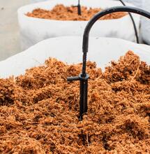 Ventajas de cultivar marihuana con fibra de coco.