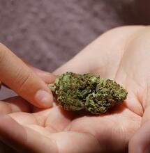 Was unterscheidet synthetische Cannabinoide von Cannabis?