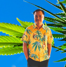 La Thailandia regala un milione di piante di Cannabis