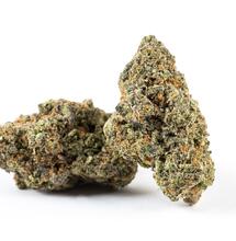 Terpenos cannábicos: fragancia, sabor y medicina