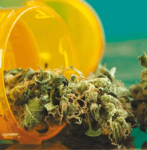 Cómo zafar de un test de drogas