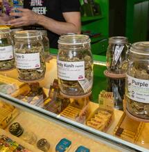 Komende Thaise regering beslist over cannabiswetgeving