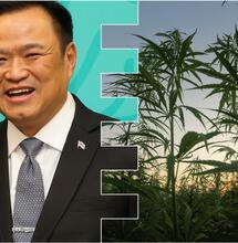 Thai Cannabis Reformer Elected as Country’s New PM